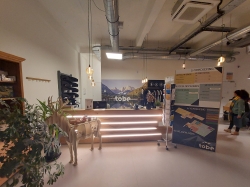 Afbeelding › Medische Pedicure Turnhout Afbeelding › Medische Pedicure Turnhout